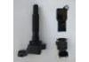 Ignition Coil:F01R00A081