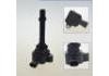 Ignition Coil:F01R00A083